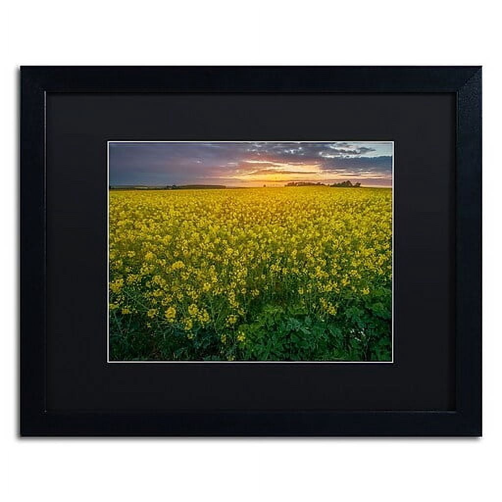 Trademark Fine Art "Yellow Planet" Canvas Art by Mathieu Rivrin, Black Matte, Black Frame