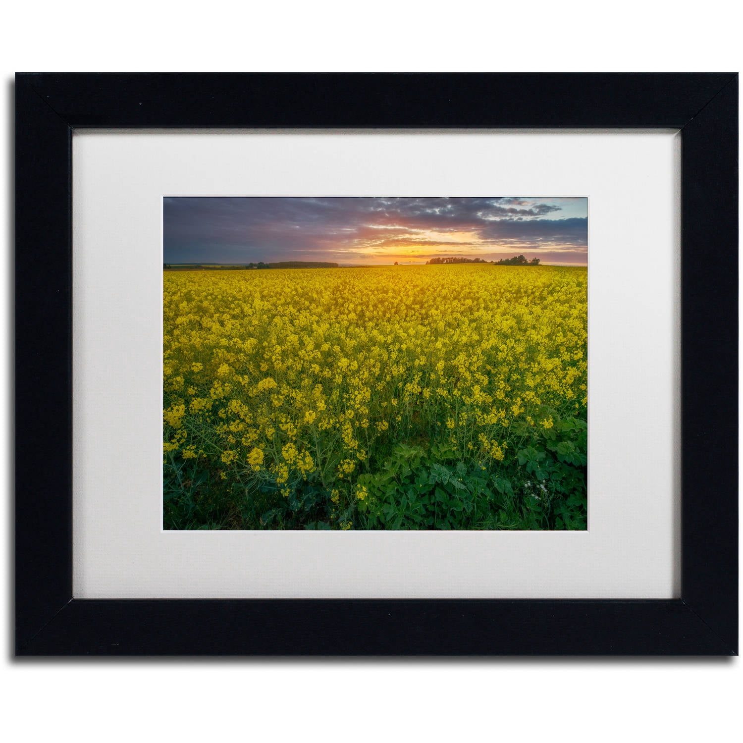 Trademark Fine Art "Yellow Planet" Canvas Art by Mathieu Rivrin, White Matte, Black Frame