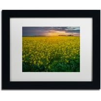 Trademark Fine Art "Yellow Planet" Canvas Art by Mathieu Rivrin, White Matte, Black Frame