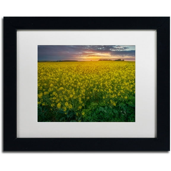 Trademark Fine Art "Yellow Planet" Canvas Art by Mathieu Rivrin, White Matte, Black Frame