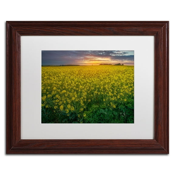 Trademark Fine Art "Yellow Planet" Canvas Art by Mathieu Rivrin, White Matte, Wood Frame