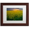 thumbnail image 1 of Trademark Fine Art "Yellow Planet" Canvas Art by Mathieu Rivrin, White Matte, Wood Frame, 1 of 3