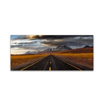 Trademark Fine Art 'Yellow Road' Canvas Art by Adhemar Duro