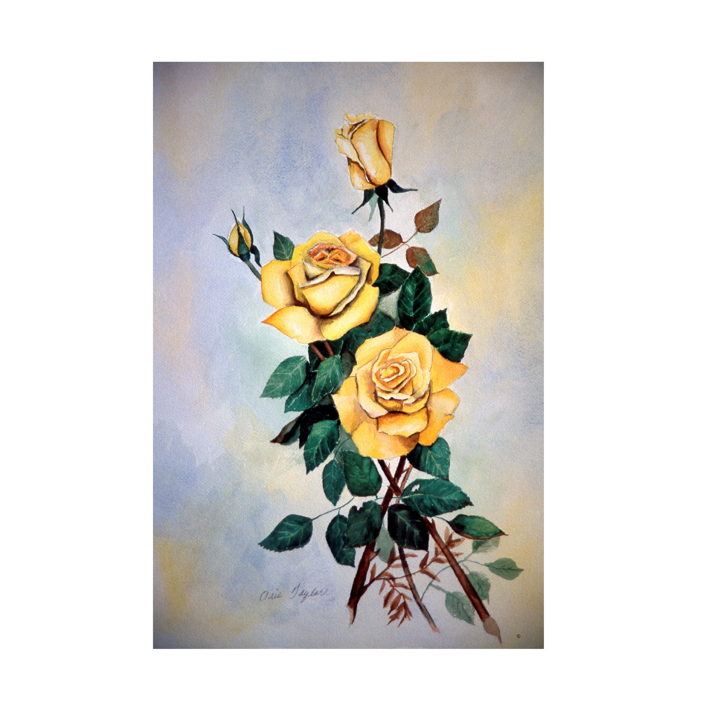 Trademark Fine Art 'Yellow Roses Sprig' Canvas Art by Arie Reinhardt Taylor