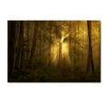 thumbnail image 1 of Trademark Fine Art 'Yellow The Bigger Picture' Canvas Art by Norbert Maier, 1 of 3