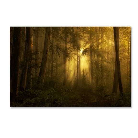 Trademark Fine Art 'Yellow The Bigger Picture' Canvas Art by Norbert Maier