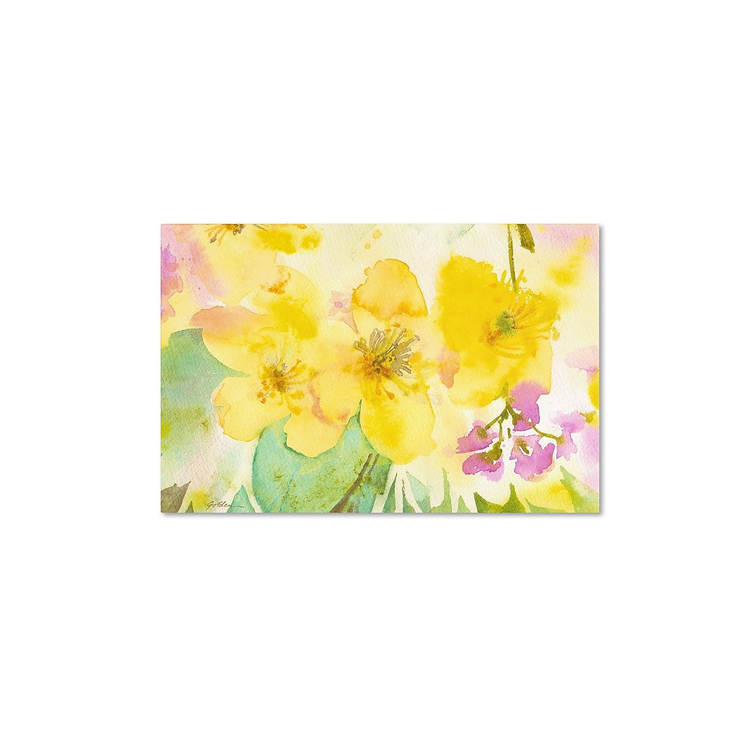 Trademark Fine Art "Yellow Trio" Canvas Art by Sheila Golden