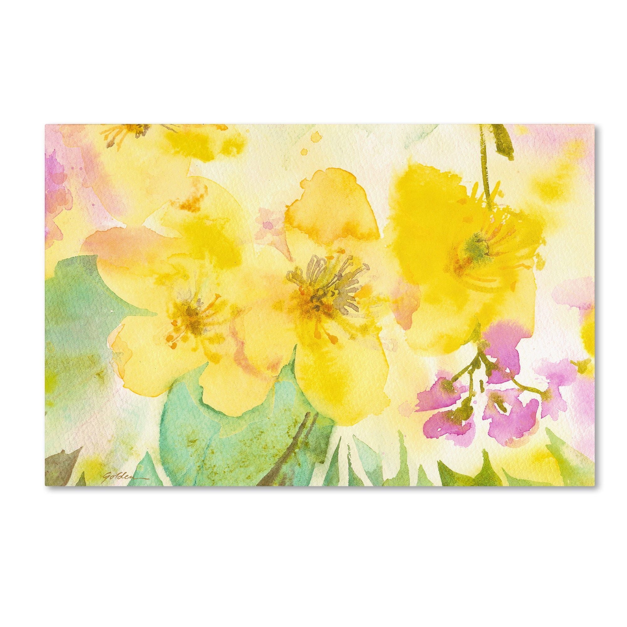 Trademark Fine Art "Yellow Trio" Canvas Art by Sheila Golden