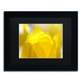 thumbnail image 1 of Trademark Fine Art "Yellow Tulip" Canvas Art by Kurt Shaffer Black Matte, Black Frame, 1 of 4