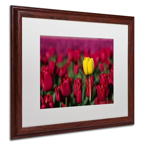 Trademark Fine Art "Yellow Tulip" Canvas Art by Pierre Leclerc, White Matte/Wood Frame