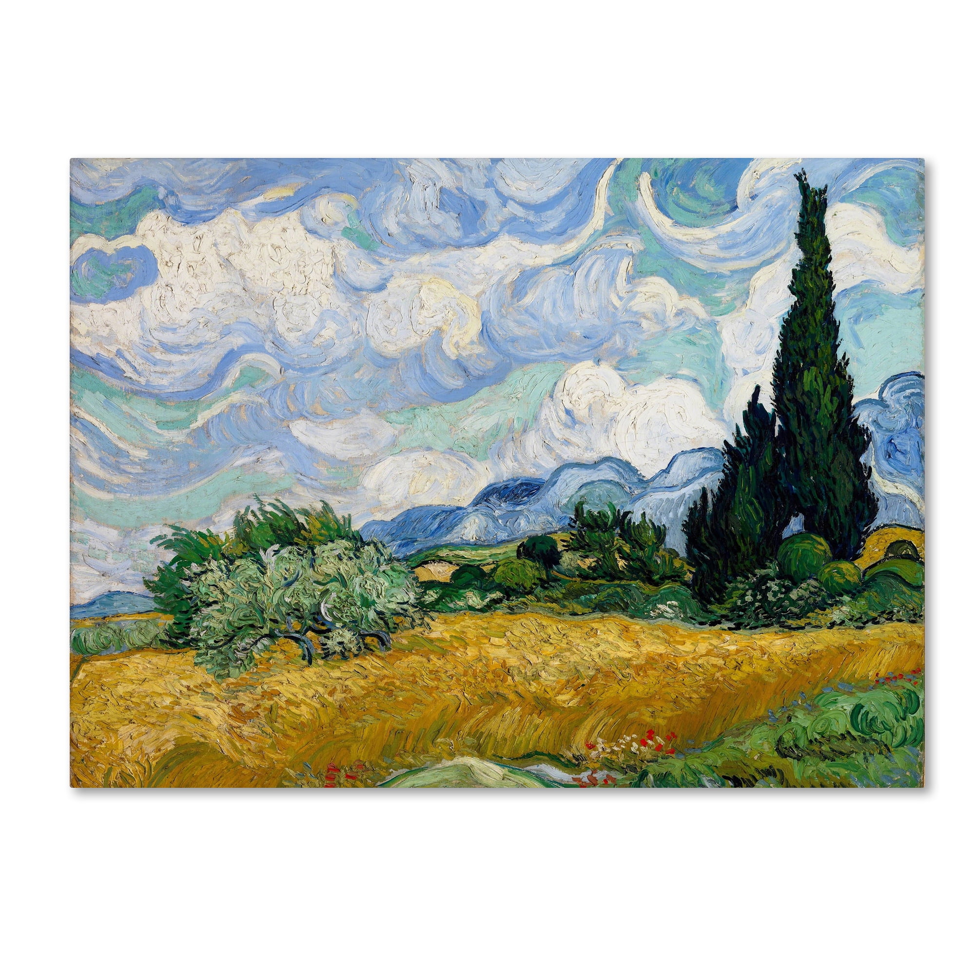 Trademark Fine Art 'Yellow Wheat and Cypresses' Canvas Art by Vincent van Gogh