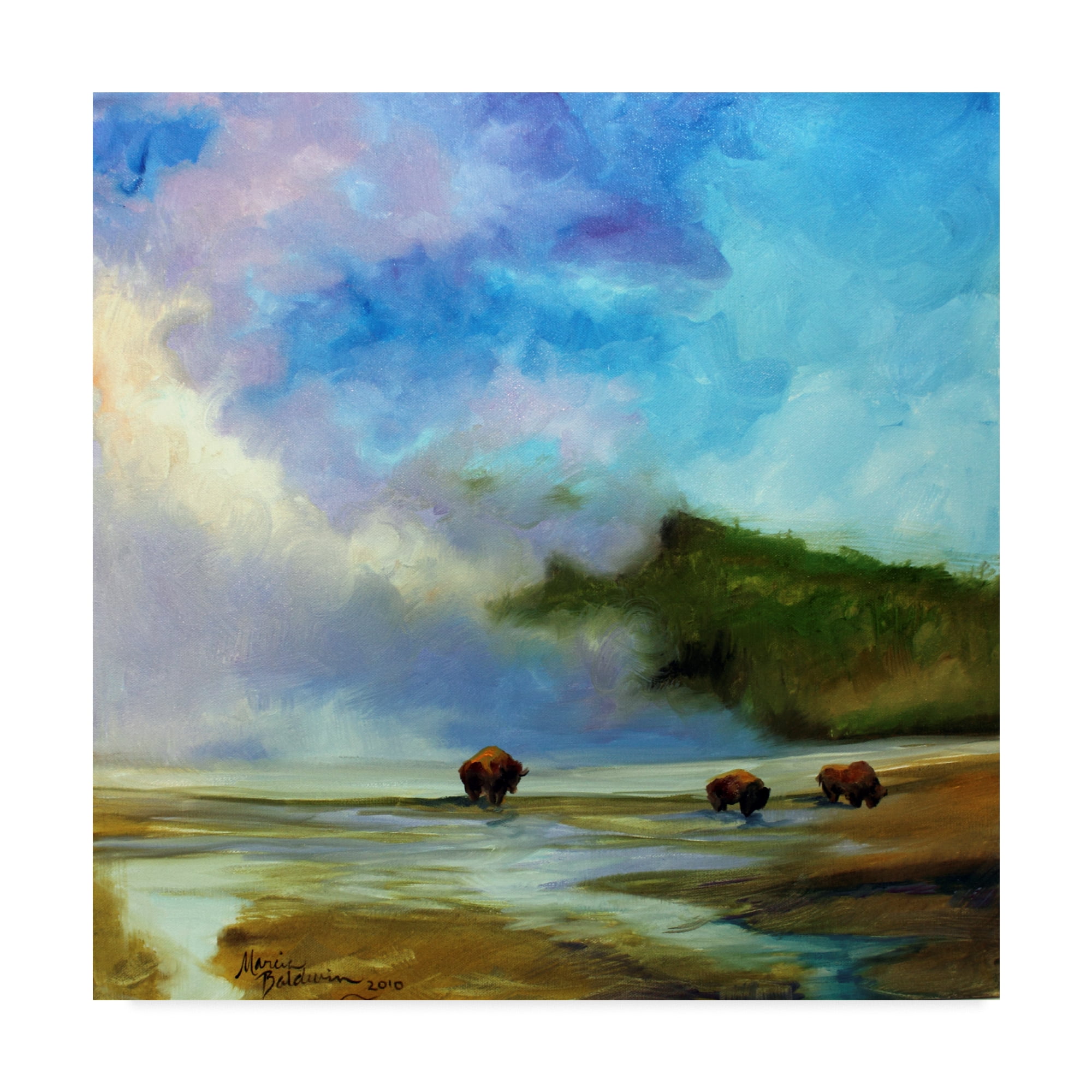 Trademark Fine Art 'Yellowstone Buffalo Landscape' Canvas Art by Marcia Baldwin