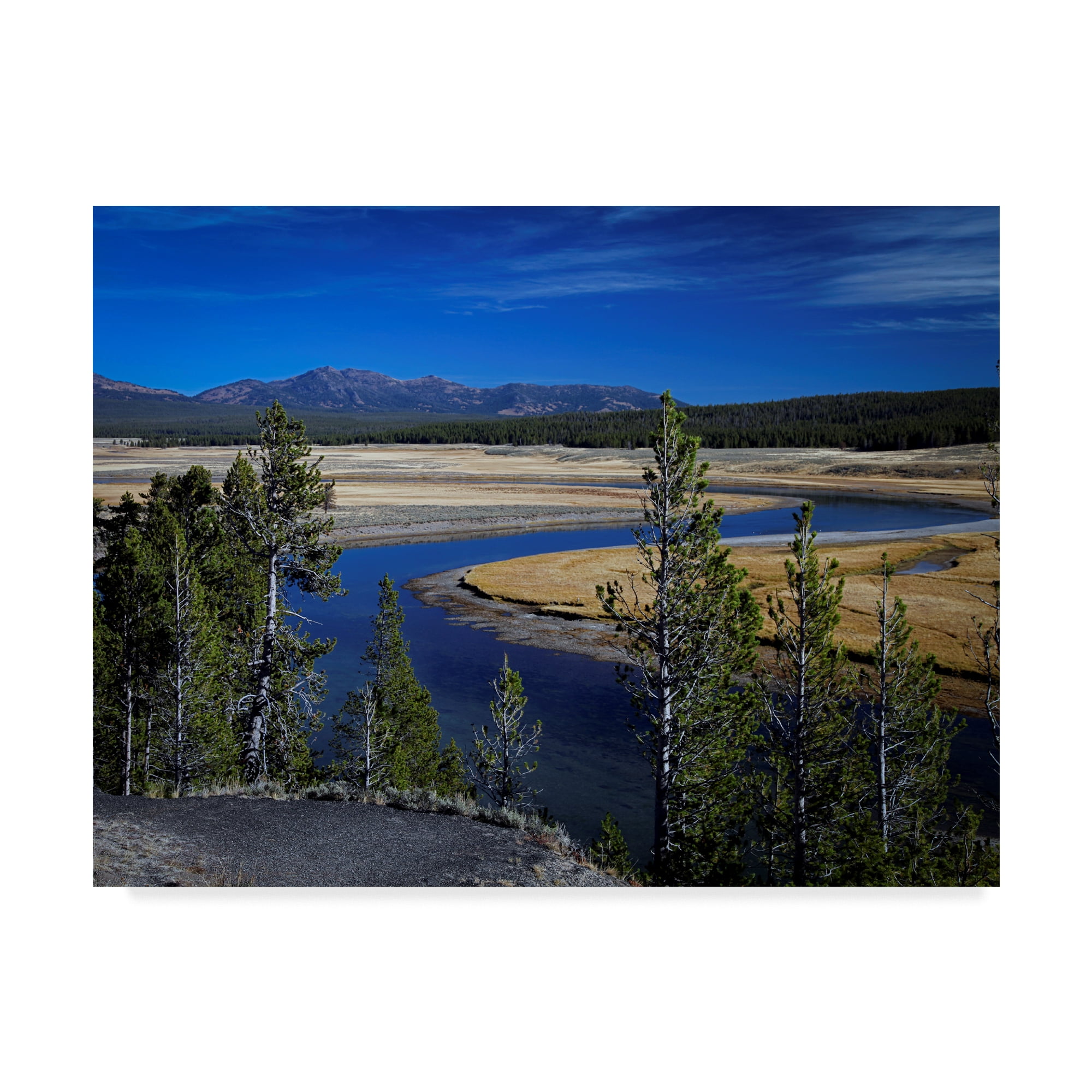 Trademark Fine Art 'Yellowstone River' Canvas Art by J.D. Mcfarlan