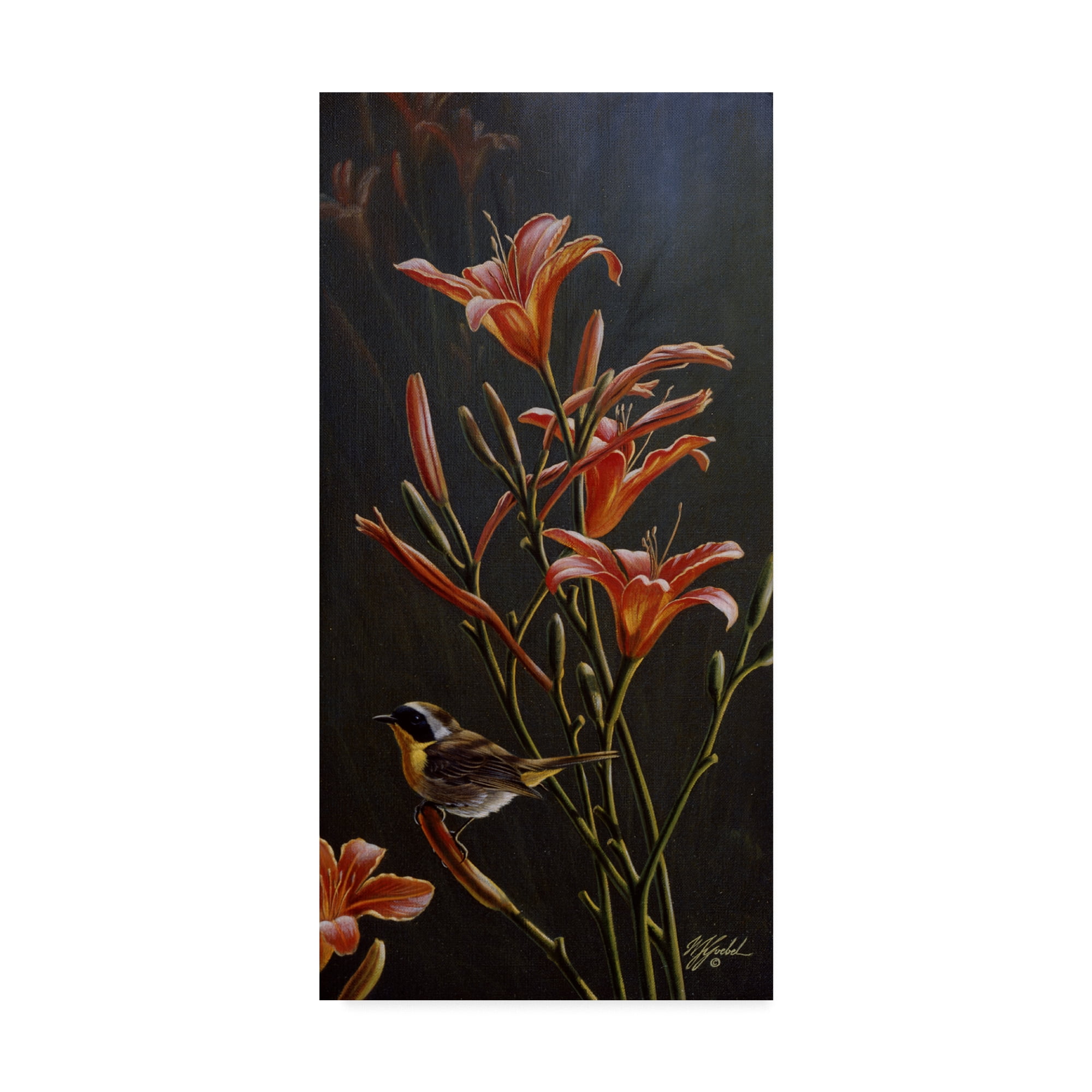 Trademark Fine Art 'Yellowthroat And Daylilies' Canvas Art by Wilhelm Goebel