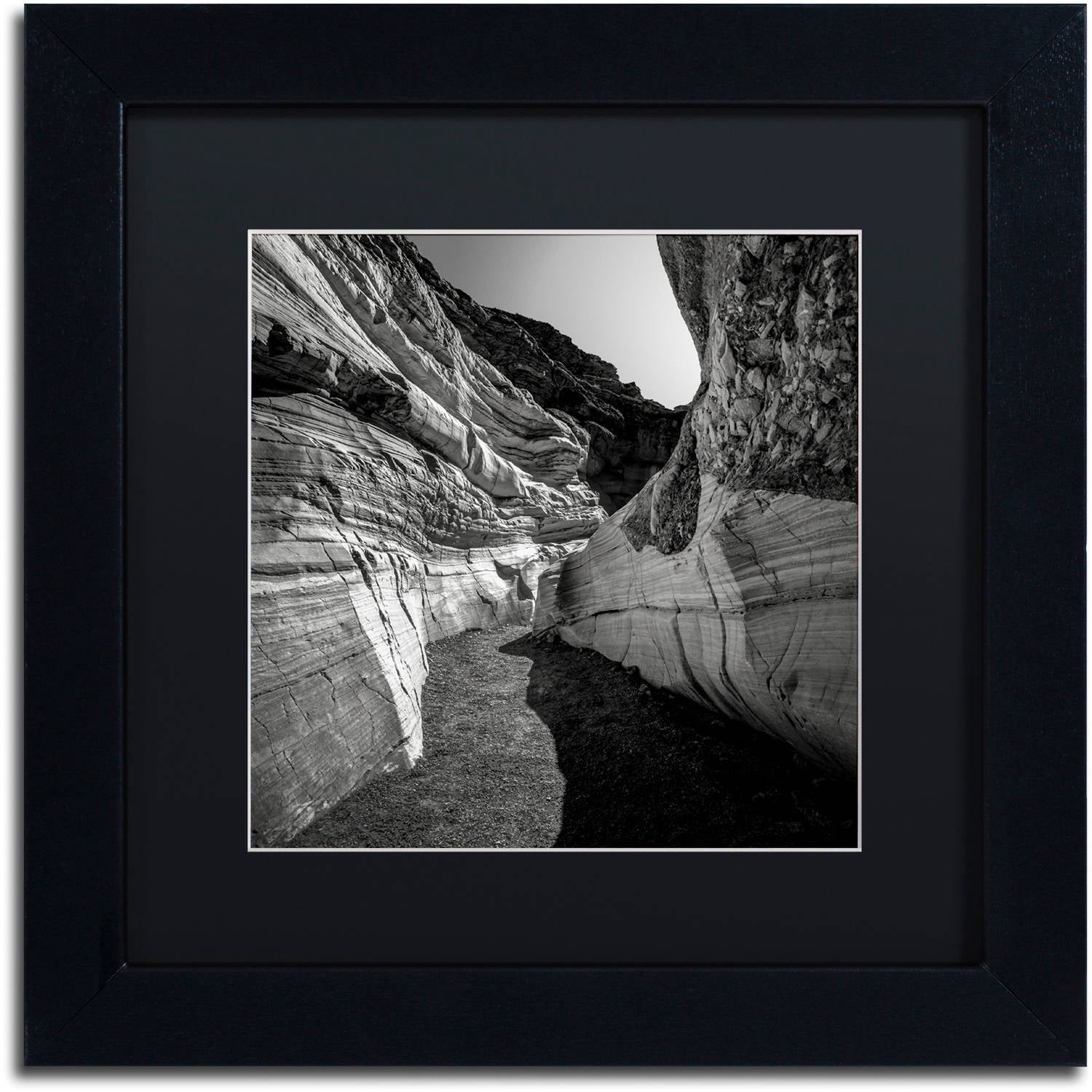 Trademark Fine Art "Yin Yang" Canvas Art by Dave MacVicar, Black Matte, Black Frame