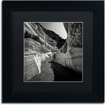 Trademark Fine Art "Yin Yang" Canvas Art by Dave MacVicar, Black Matte, Black Frame