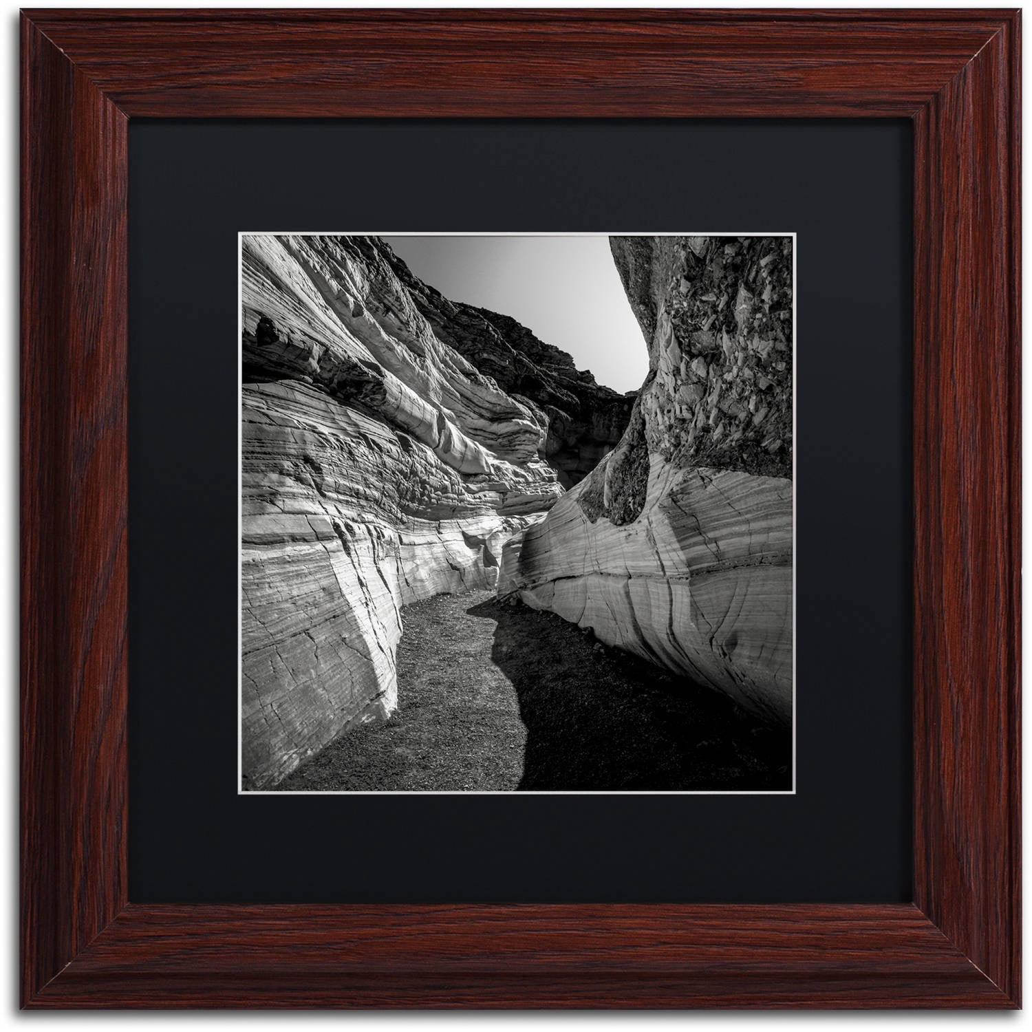 Trademark Fine Art "Yin Yang" Canvas Art by Dave MacVicar, Black Matte, Wood Frame