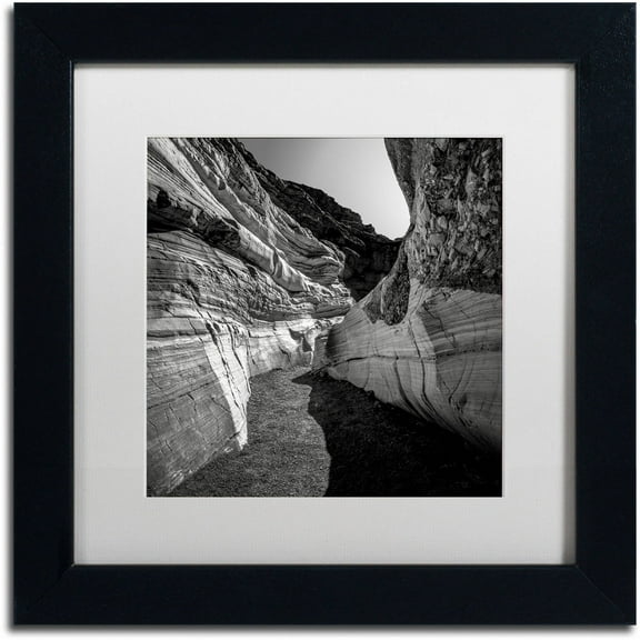 Trademark Fine Art "Yin Yang" Canvas Art by Dave MacVicar, White Matte, Black Frame