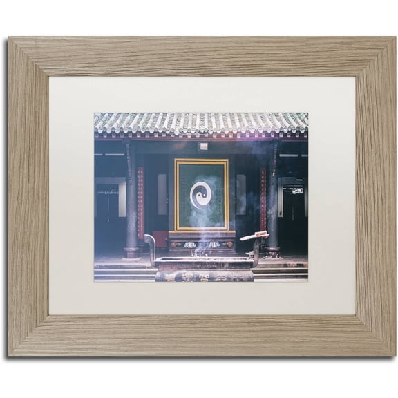 Trademark Fine Art "Yin Yang" Canvas Art by Philippe Hugonnard, White Matte, Birch Frame