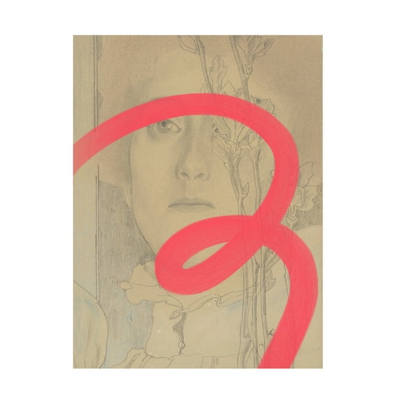 Trademark Fine Art Yopie Studio  Touch of Funk Canvas Wall Art