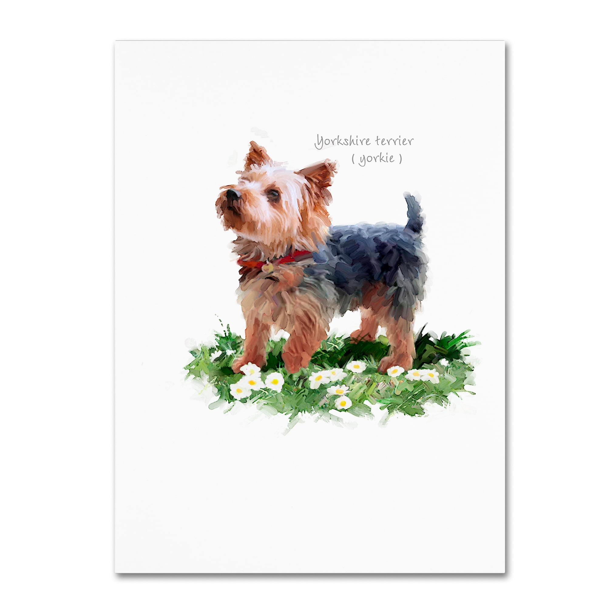 Trademark Fine Art 'Yorkshire Terrier' Canvas Art by The Macneil Studio
