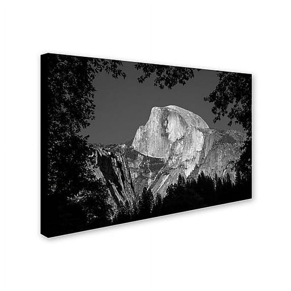 Trademark Fine Art "Yosemite BW" Canvas Art by Pierre Leclerc