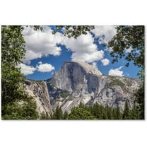 Trademark Fine Art "Yosemite Half Dome" Canvas Art by Pierre Leclerc