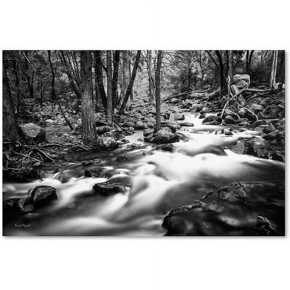 Trademark Fine Art "Yosemite National Park - California-I" Canvas Art by David Ayash