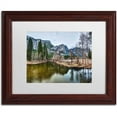 thumbnail image 1 of Trademark Fine Art "Yosemite National Park - California-III" Canvas Art by David Ayash, White Matte, Wood Frame, 1 of 1