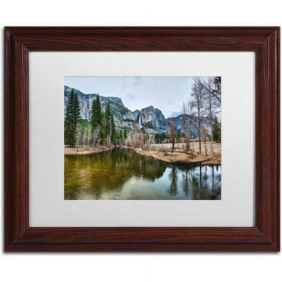 Trademark Fine Art "Yosemite National Park - California-III" Canvas Art by David Ayash, White Matte, Wood Frame