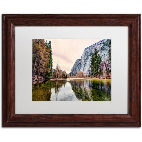 Trademark Fine Art "Yosemite Valley" Canvas Art by David Ayash White Matte, Wood Frame