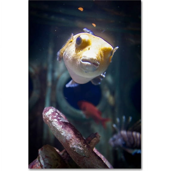 Trademark Fine Art "You Talkin To Me" Canvas Art by Yale Gurney