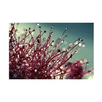 Trademark Fine Art Young 'For you and me' Canvas Art by Beata Czyzowska