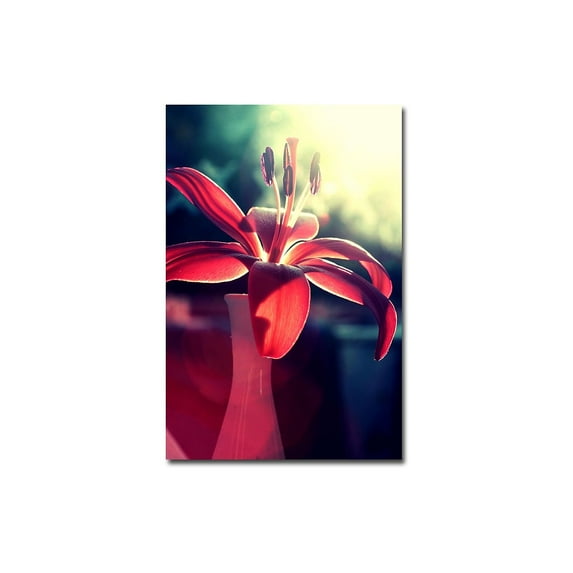 Trademark Fine Art Young 'Lady in Red' Canvas Art by Beata Czyzowska