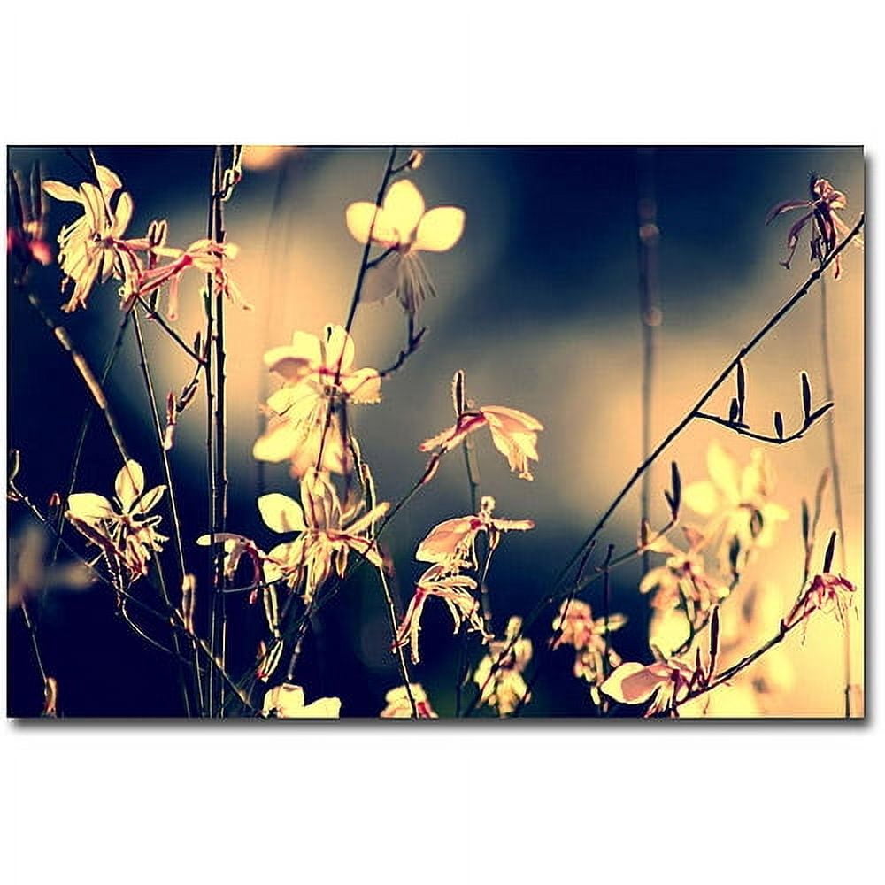 Trademark Fine Art Young 'Sunshine in my Garden' Canvas Art by Beata Czyzowska