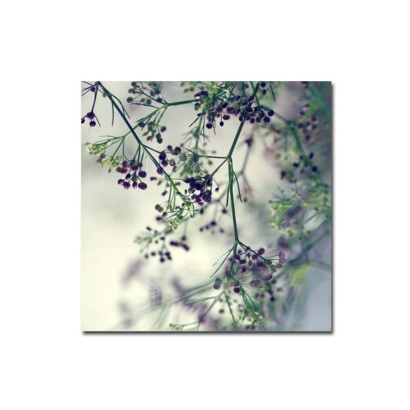 Trademark Fine Art Young 'Supercalifragilistic' Canvas Art by Beata Czyzowska