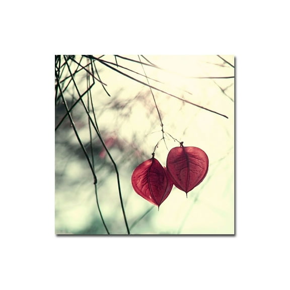 Trademark Fine Art Young 'Together' Canvas Art by Beata Czyzowska