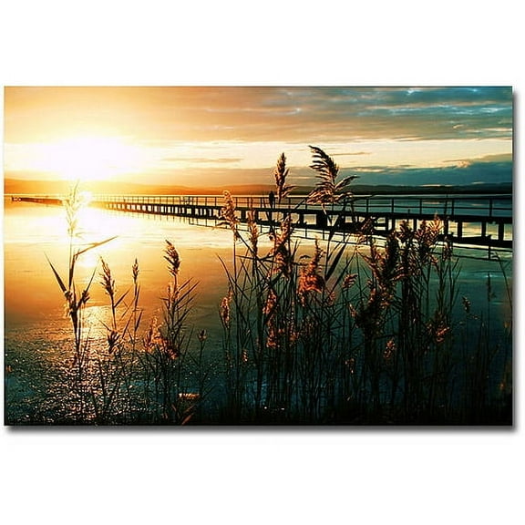 Trademark Fine Art Beata Czyzowska Young Wish You Were Here Canvas Wall Art - 16x24