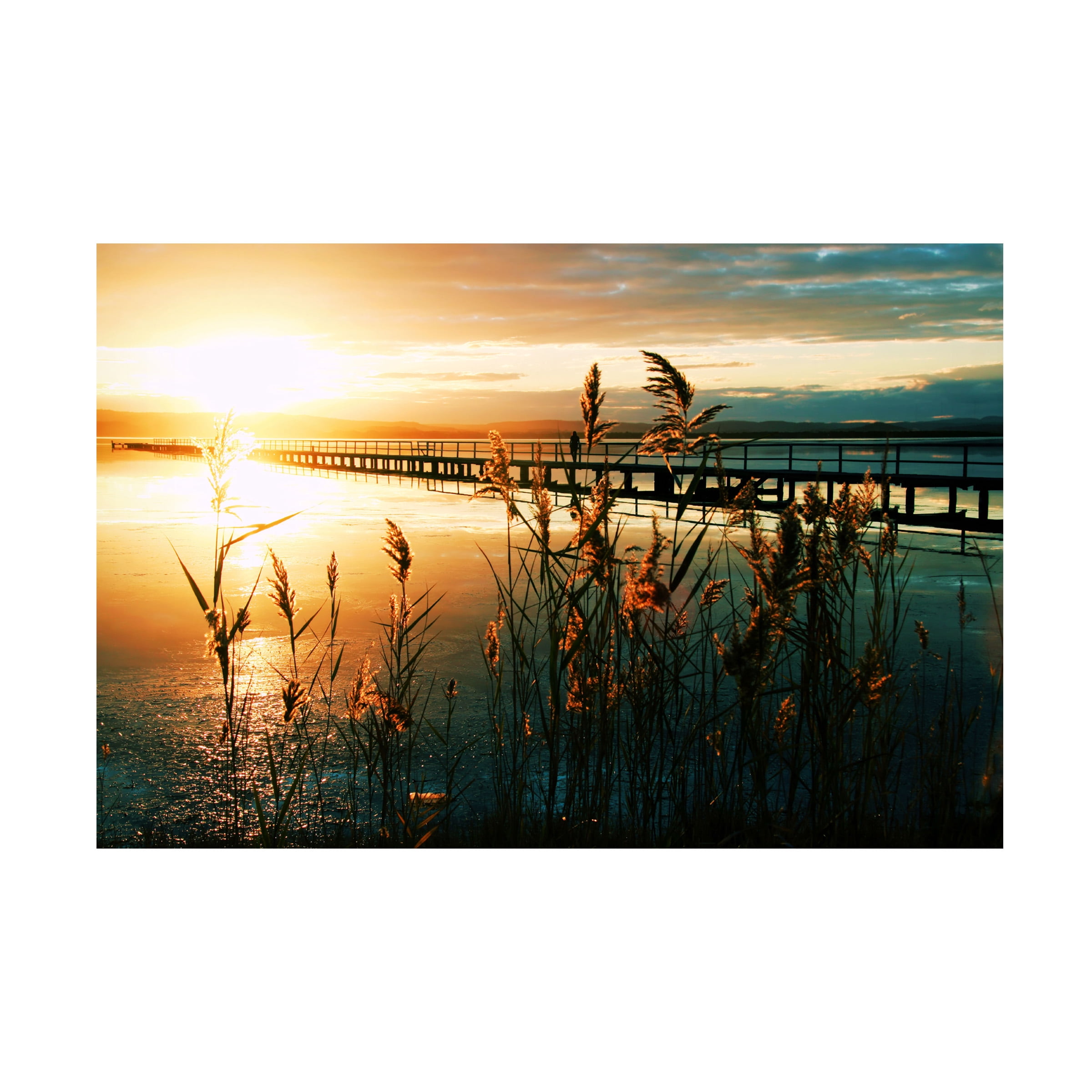 Trademark Fine Art Young 'Wish You Were Here' Canvas Art by Beata Czyzowska
