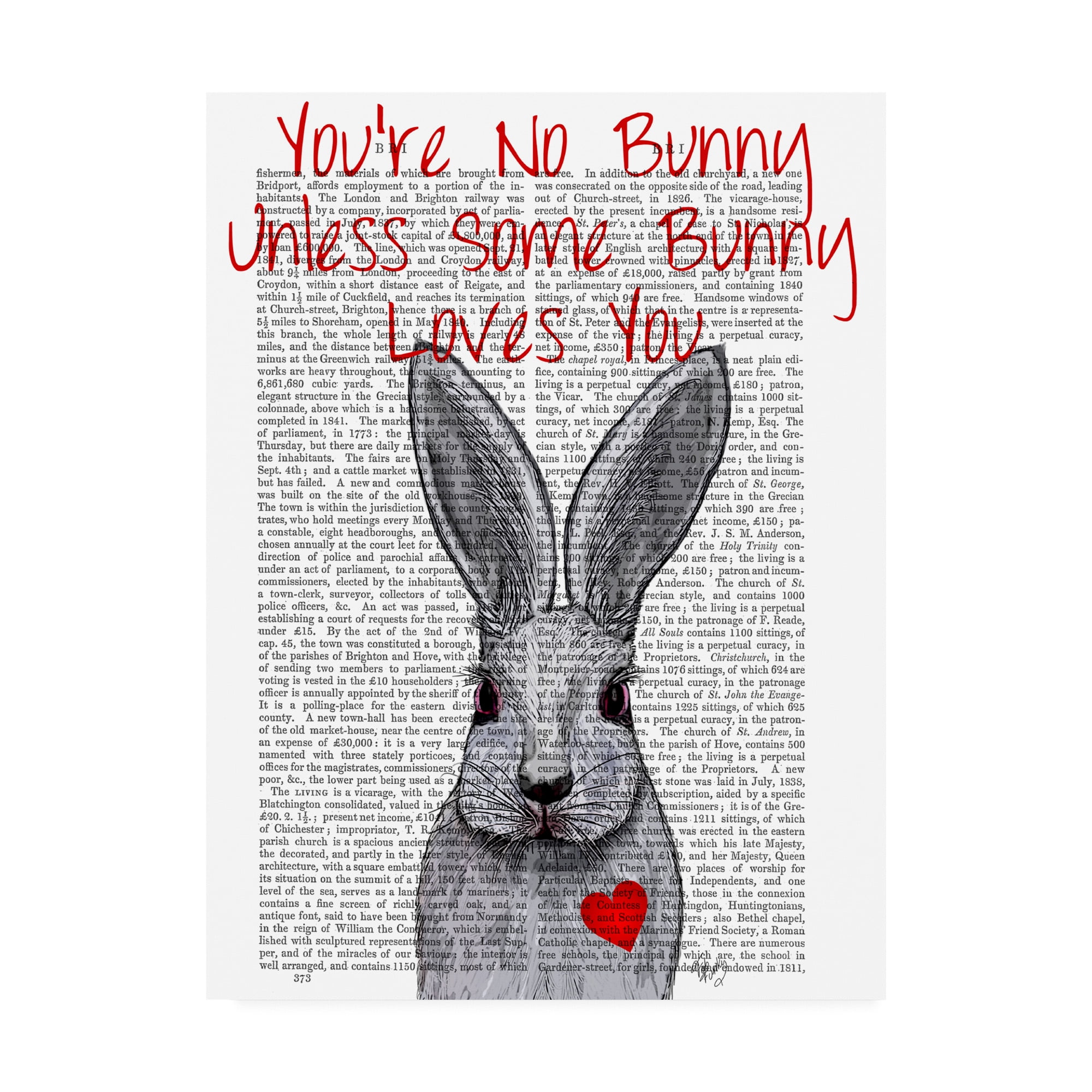 Trademark Fine Art 'Youre No Bunny' Canvas Art by Fab Funky