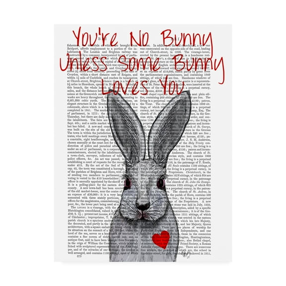 Trademark Fine Art 'Youre No Bunny' Canvas Art by Fab Funky