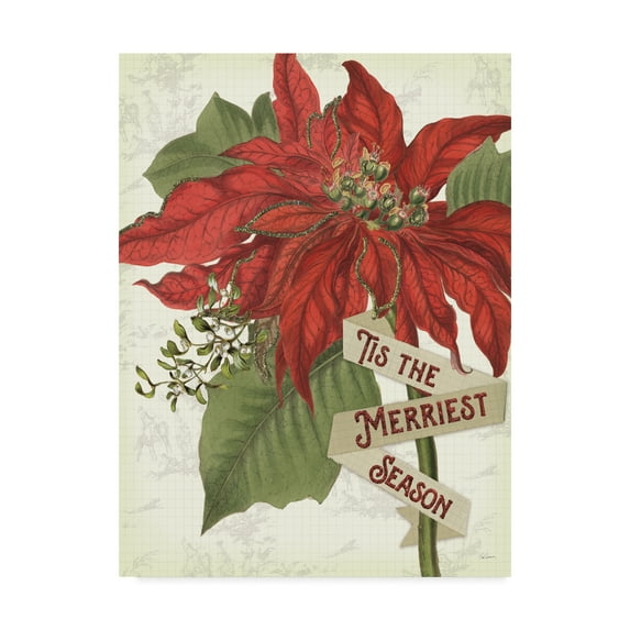 Trademark Fine Art 'Yuletide V' Canvas Art by Sue Schlabach