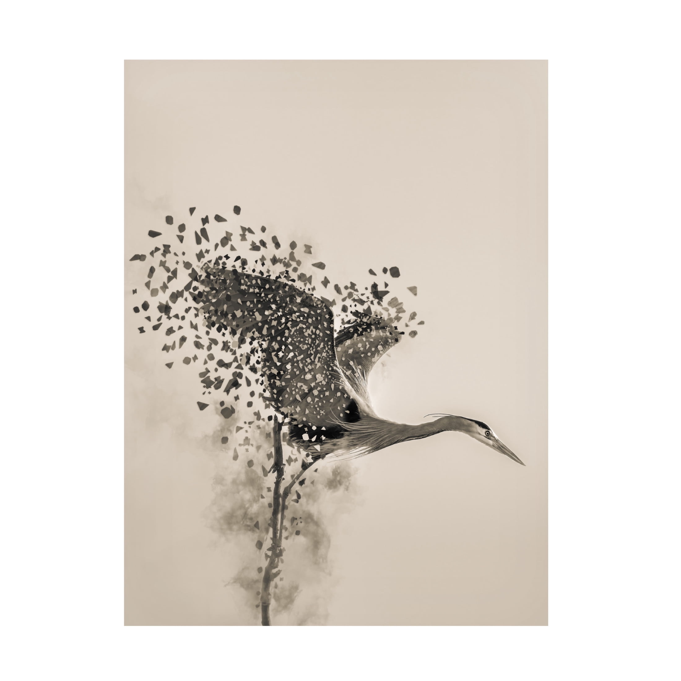 Trademark Fine Art Yunqiang Li A Blue Heron Canvas Wall Art