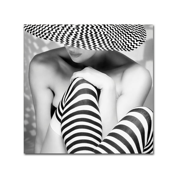 Trademark Fine Art 'Zagging That Zig' Canvas Art by Howard Ashton Jones