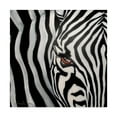 thumbnail image 1 of Trademark Fine Art 'Zebra Face' Canvas Art by Cherie Roe Dirksen, 1 of 3