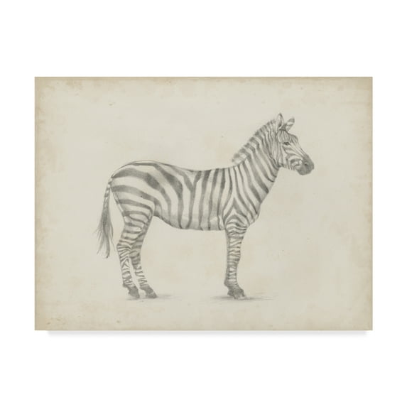 Trademark Fine Art 'Zebra Sketch' Canvas Art by Ethan Harper
