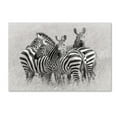 thumbnail image 1 of Trademark Fine Art 'Zebras' Canvas Art by Kirill Trubitsyn, 1 of 3