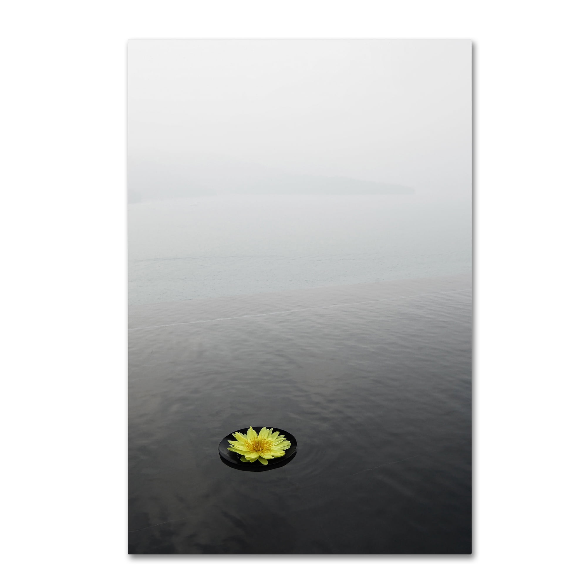 Trademark Fine Art "Zen 20x30 Reversed" Canvas Art by Kurt Shaffer