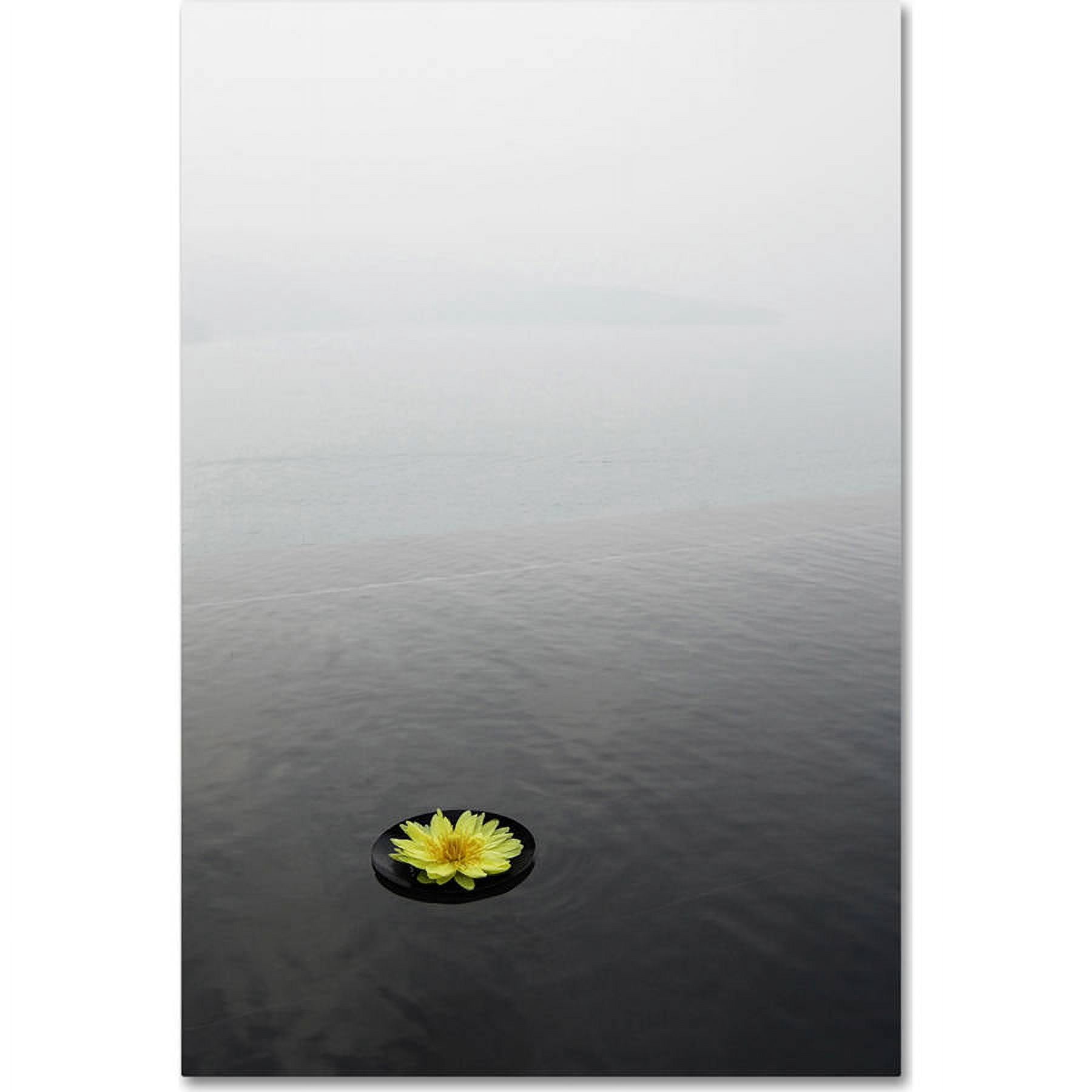 Trademark Fine Art "Zen 20x30 Reversed" Canvas Art by Kurt Shaffer