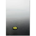 thumbnail image 1 of Trademark Fine Art "Zen 20x30 Reversed" Canvas Art by Kurt Shaffer, 1 of 3